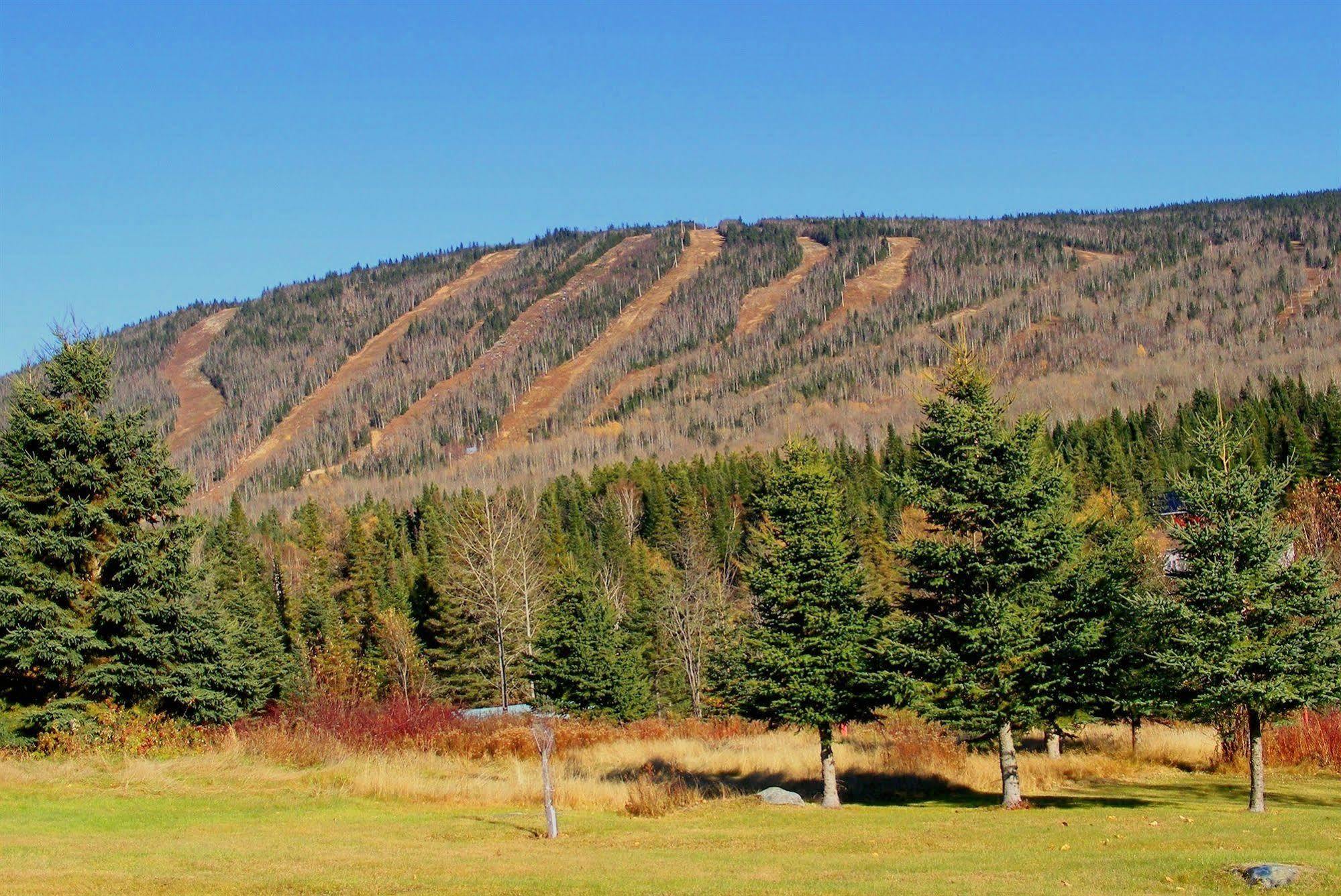 Oasis Du Grand Fond Inc Villa La Malbaie Exteriör bild